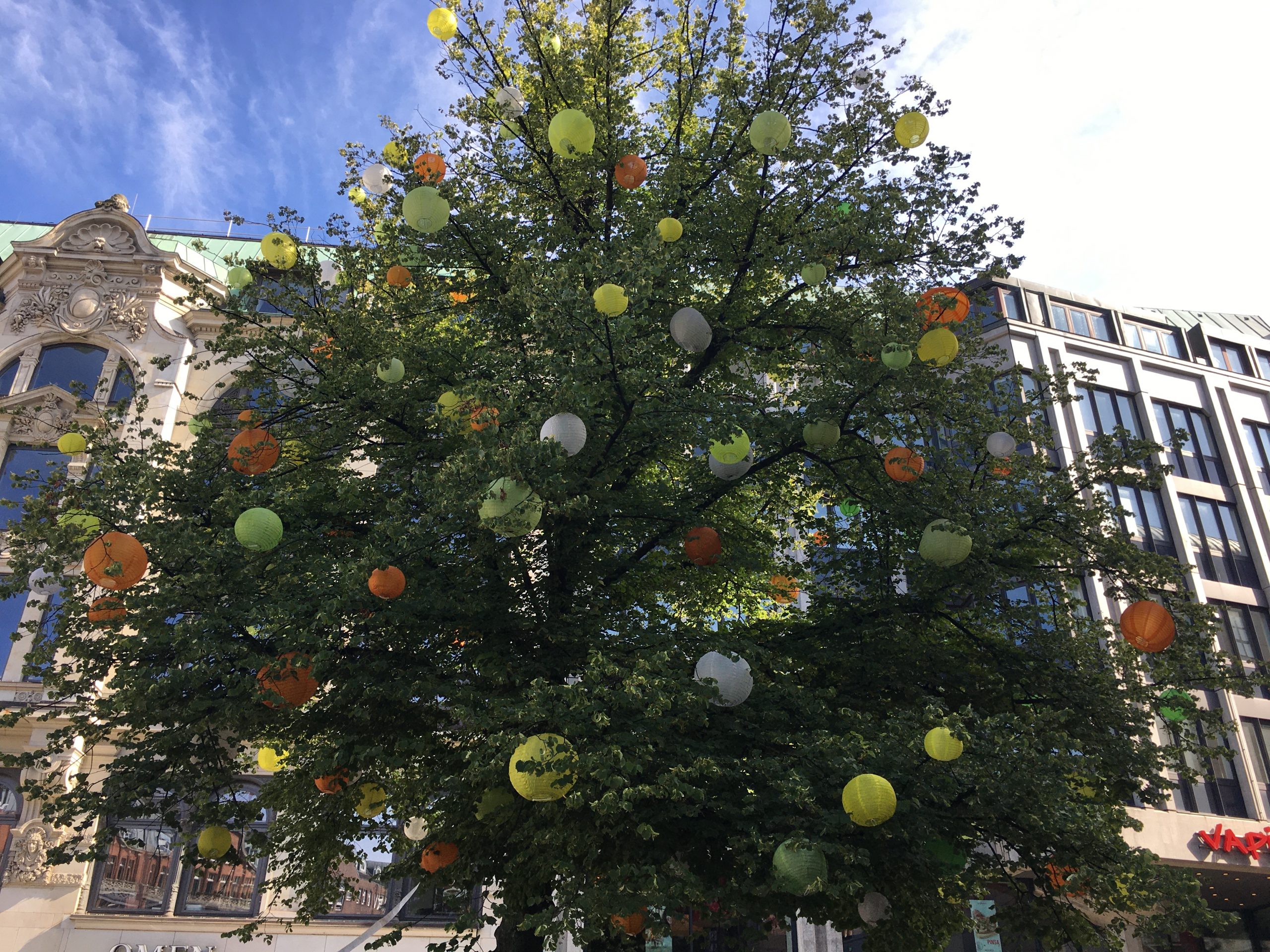 Baum in der Innenstadt voller Lampione